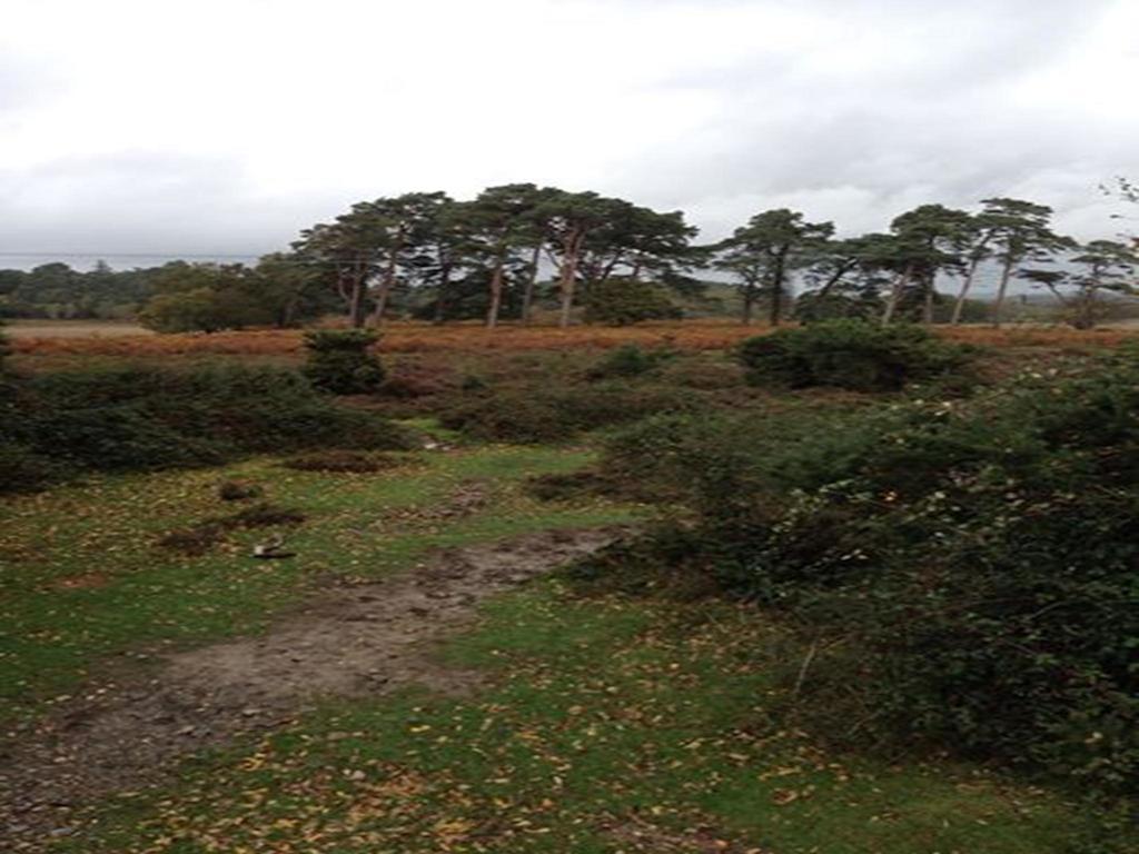 Auplands En-Suite Rooms Lymington Eksteriør bilde